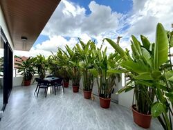 Chuan Green (D19), Semi-Detached #452444801